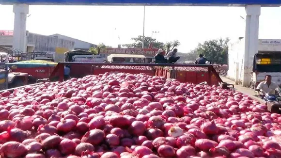 Onion.webp
