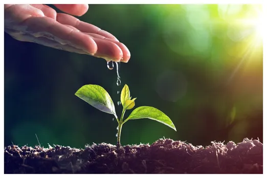 Plants CO₂ Afforestation Tree Environment Forest Climate Change