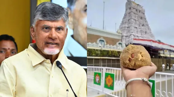 N Chandrababu Naidu Tirupati Laddu