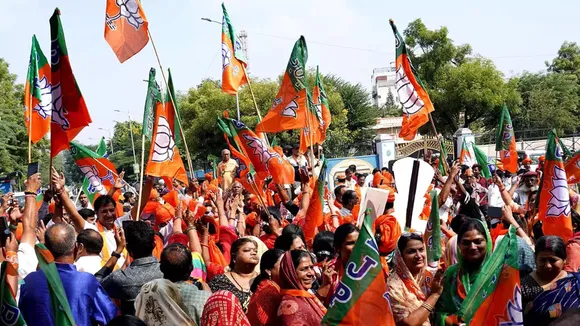 BJP flags
