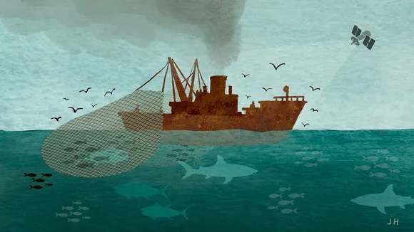illegal fishing 