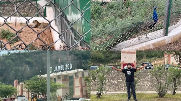 Jambu Zoo.jpg