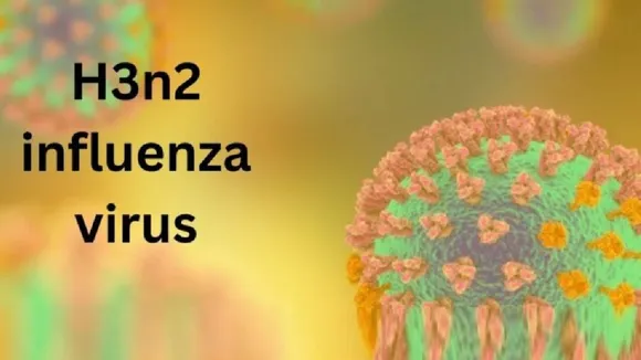 H3N2 Influenza Virus