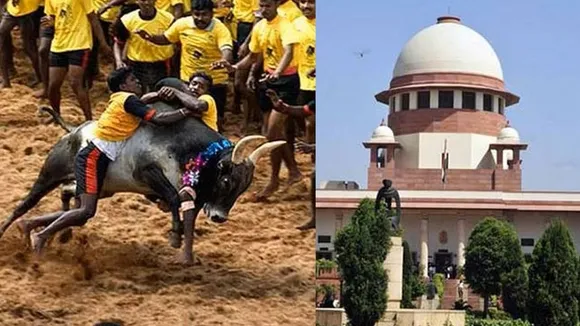 Jallikattu Supreme Court