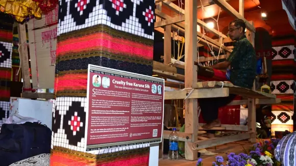 Karuna Silk Odisha