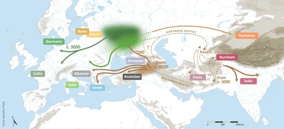 Indo European languages.jpg