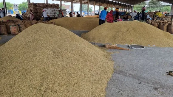 de-oiled rice bran