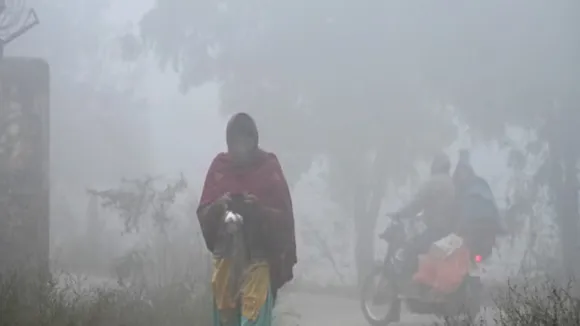 Odisha winter wave