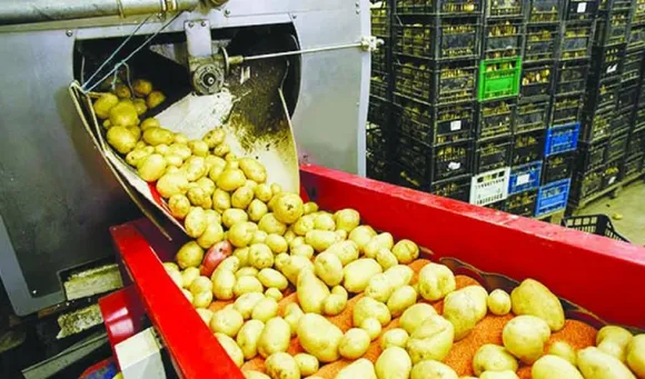 Food processing.jpeg