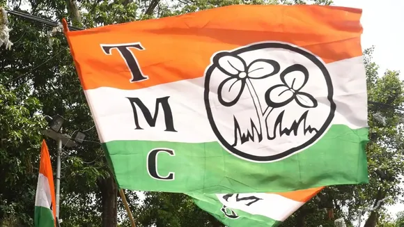 TMC Logo TMC Party TMC Flag