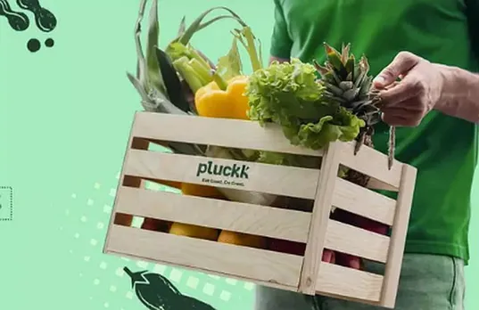 Pluckk.jpg