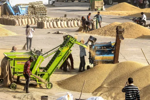 Farmer Crop Agriculture Mandi MSP