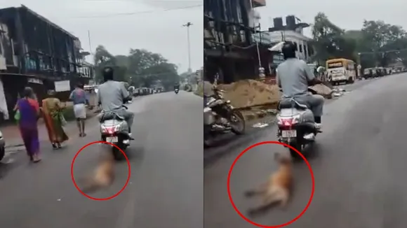 Man dragged a dog