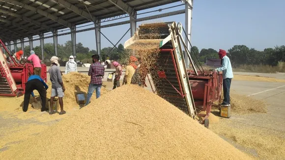 paddy procurement.jpg