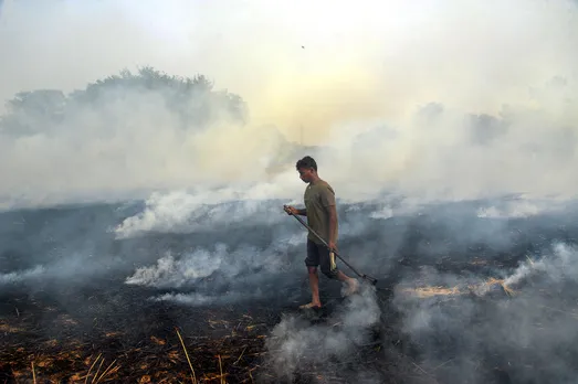 Stubble Burning pollution Smog Delhi Punjab