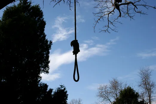 Hanging from a tree.jpg