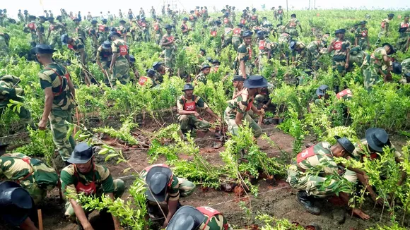 Security personnel plant saplings during a plantation drive under the 'Ek Ped Maa Ke Naam' campaign, in Indore, Sunday, July 14, 2024.