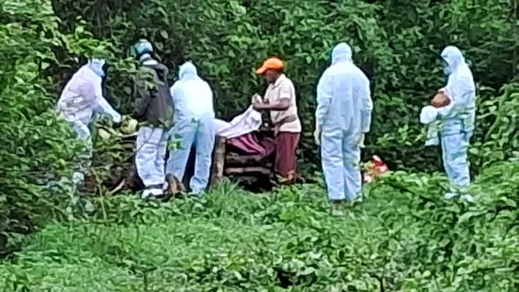 Sindhudurg Bee Attack