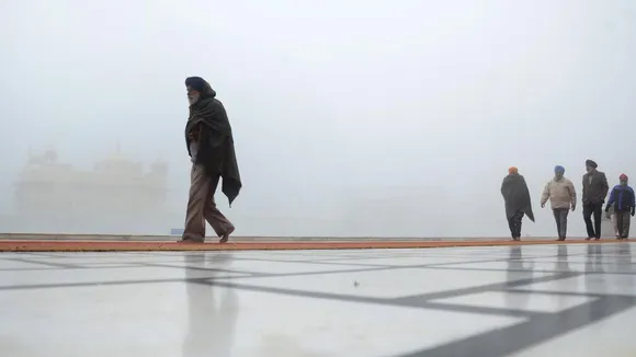 Punjab winters Dec 17.jpeg