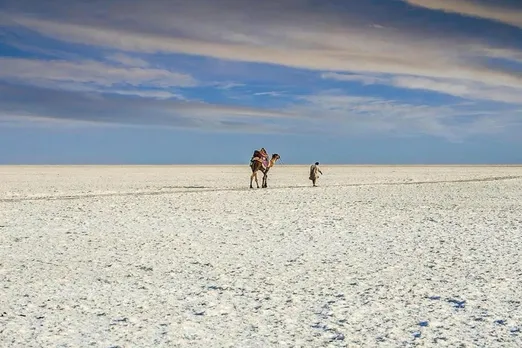 Salt land kutch.jpg