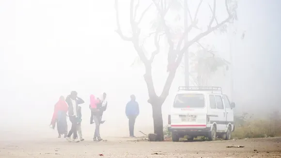 Winter-and-fog-in-sikar.-Rajasthan