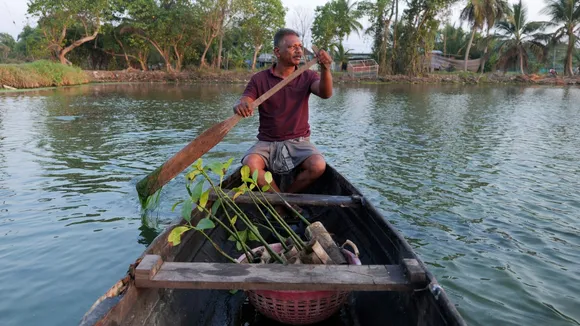 Mangrove man.jpg