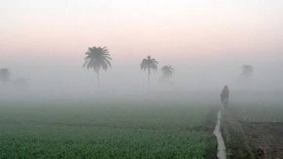 Odisha winter fog.jpg