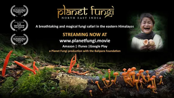 Planet India.jpg