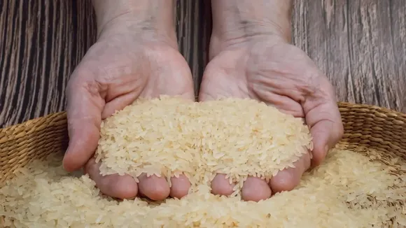 rice fortification