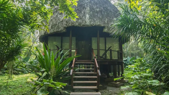 Nicobari hut.webp