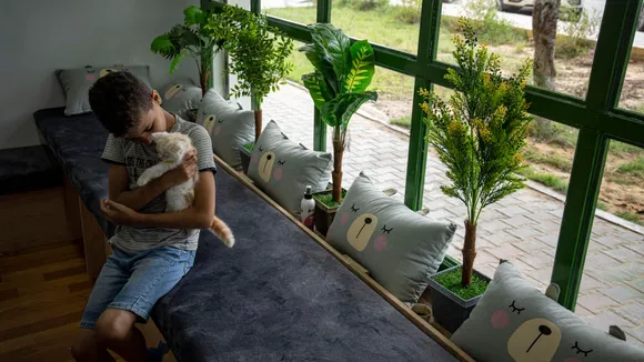 Cat cafe