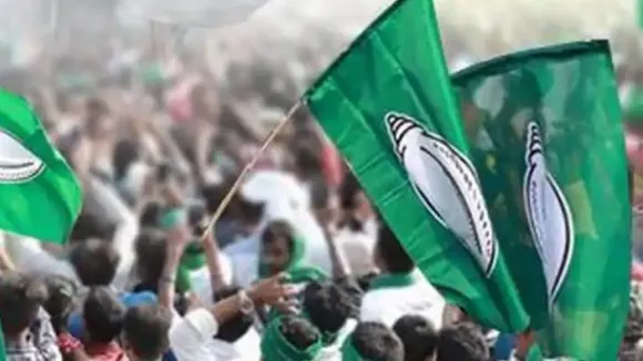 BJD flags