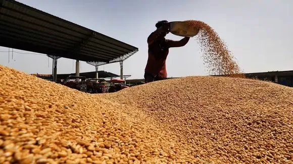 wheat Climate change.jpg