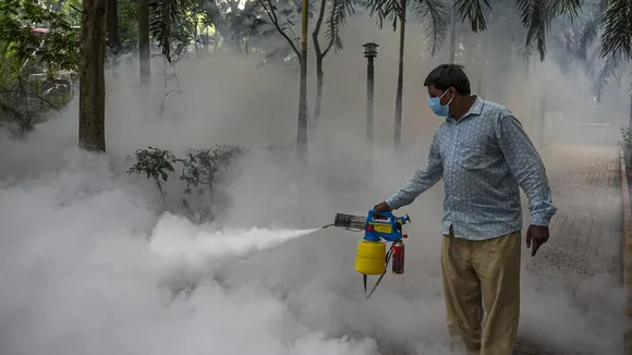 A municipal worker fumigates a park in Bengaluru on Tuesday amidst reports of a surge in dengue cases