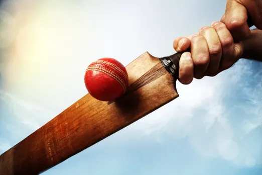 cricket bat ball.jpg
