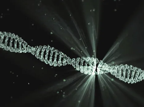 dna.jpg