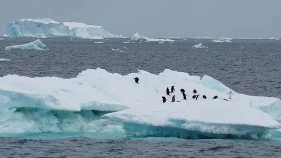 Antarctica ice melting
