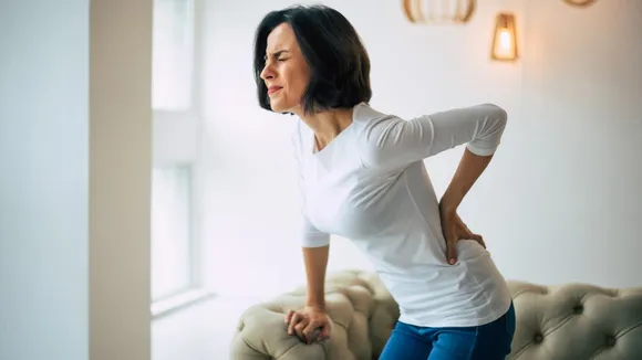 back pain lower back pain.jpg