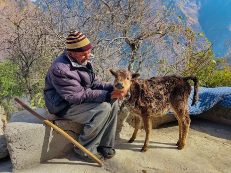 Pets in Joshimath