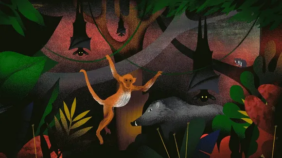 zoonotic infections.jpeg