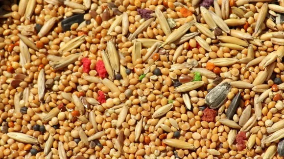 Millets