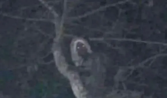 Mexican president posts photo of elf, a mischievous woodland spirit