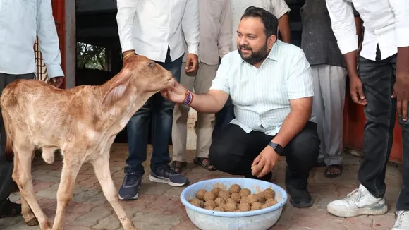 Hemang Joshi