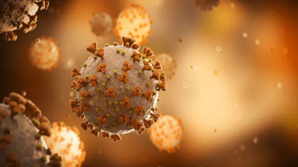 COVID coronavirus.jpg