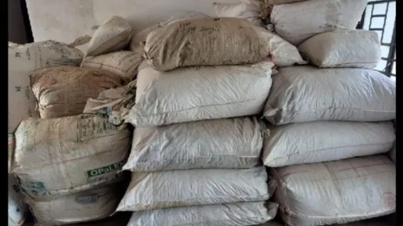 Narcotics seized, Drugs seized