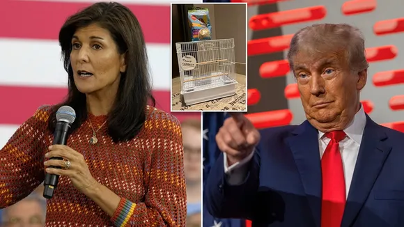 Nikki Haley Donald Trump