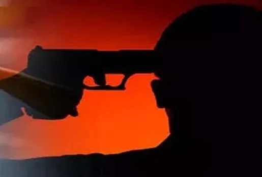 Suicide Death Killing Murder Gun
