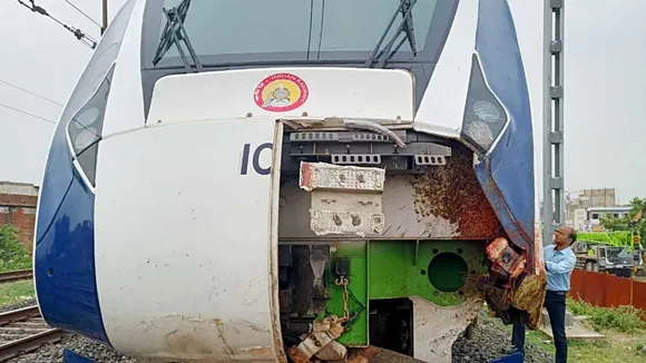 train accident animal human conflict.jpg