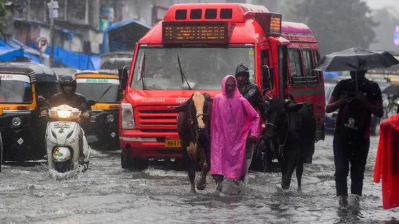 Waterlogging Rains Rainfall Monsoon