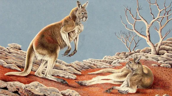 extinct giant kangaroo